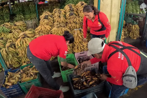 Recuperación de alimentos en el Mercado de Platanos