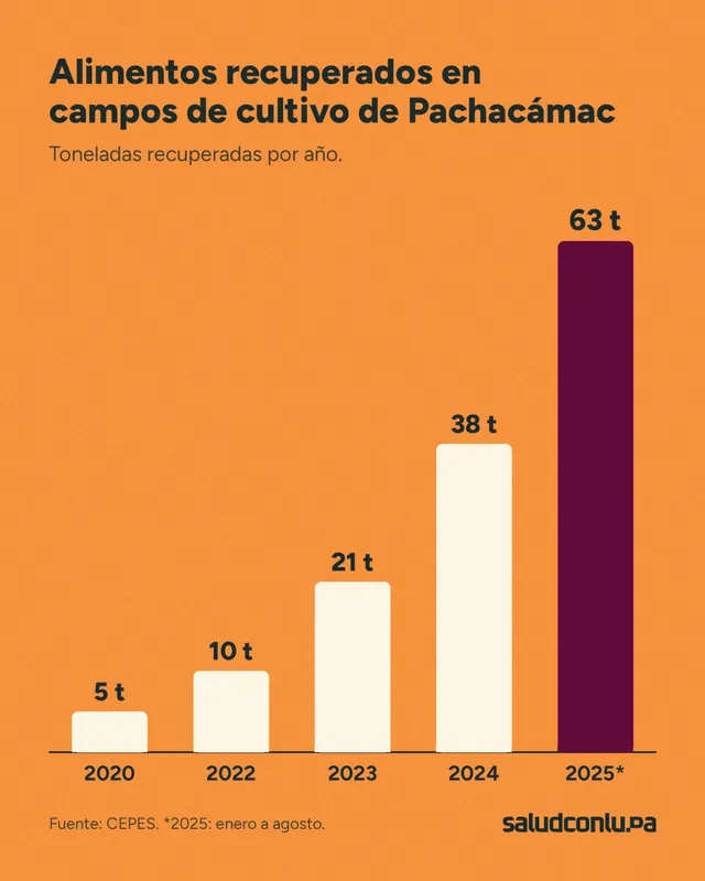 scl recuperacion alimentos grafico volumenes logo largo