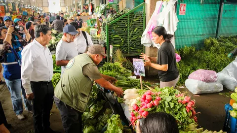 Sexto Monitoreo Ciudadano de Pesticidas: apio, cebollita china, tomate y fresa bajo examen