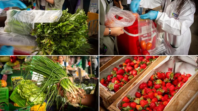 Apio, tomate, cebollita china y fresa: los alimentos de los que se tomaron muestras en el Gran Mercado Mayorista de Lima.