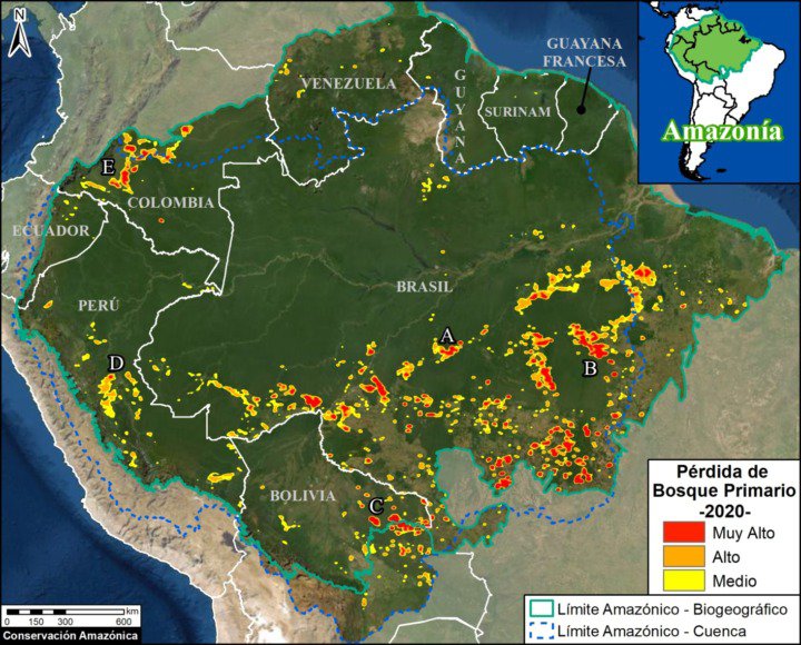 todalaamazonia.jpg