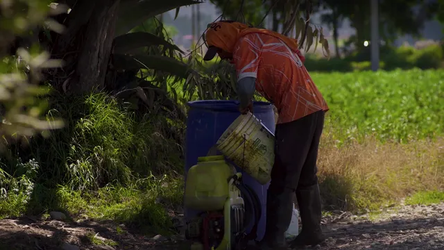 Un agricultor llena su mochila pulverizadora con una mezcla de pesticidas. El TC ordenó al Estado corregir las fallas en la asistencia técnica que reciben los agricultores.