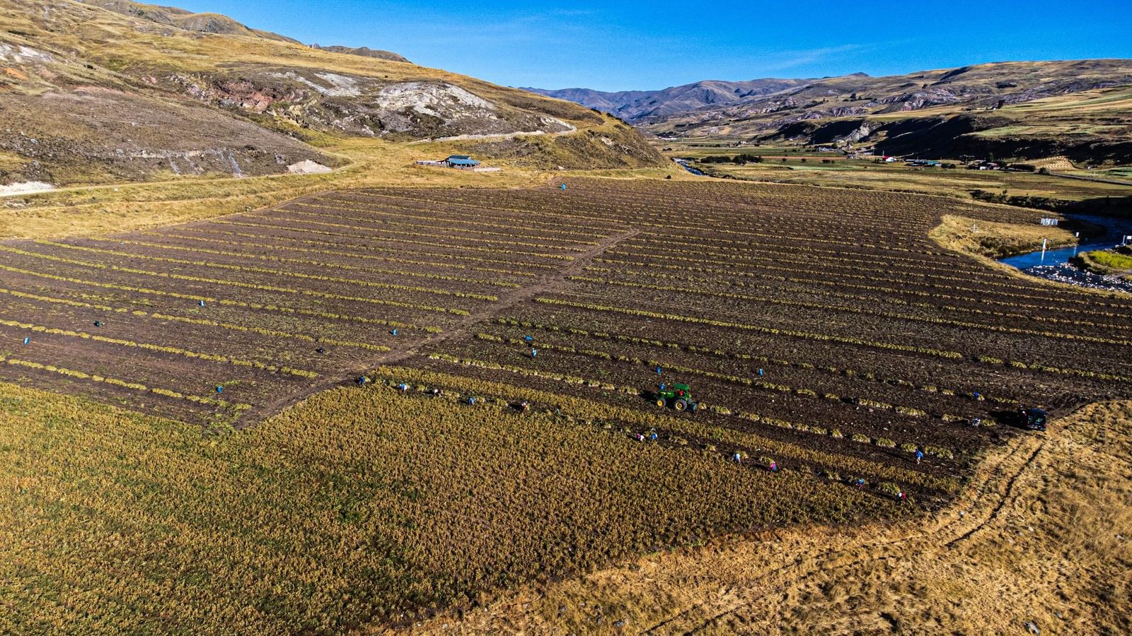 Vista aérea de parcelas de cultivo en franjas, en un valle rodeado de cerros